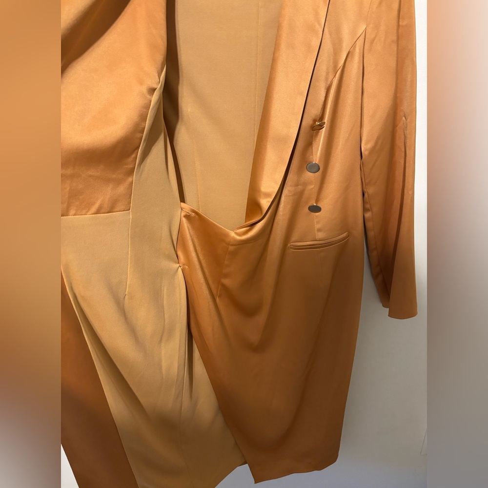 Genese London Satin-Like Rust Blazer Dress Size 12 - Picture 6 of 12